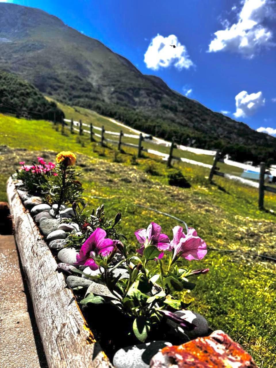 Mountain House Savin Kuk Žabljak Exterior foto